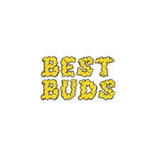 Логотип бренда Best Buds