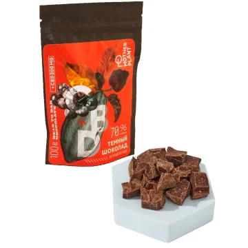 Тёмный шоколад MotherPlant с перцем (70% какао, 200 мг CBD) 100 г